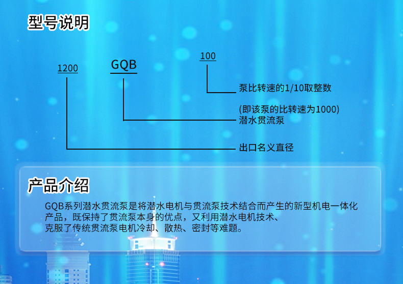 CX-GQB潜水贯流泵_01.jpg