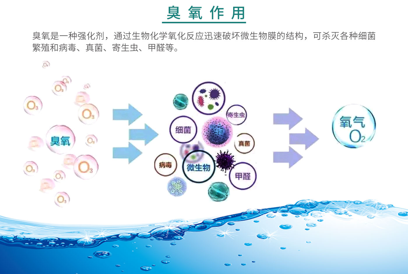 大型臭氧发生器官网_07.jpg